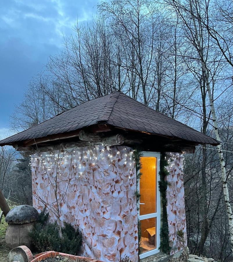 Guesthouse Karpaty Frasin Exterior foto
